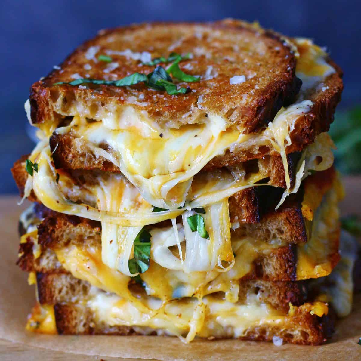 Gourmet Grilled Cheese